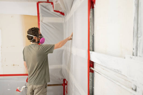 Best Industrial Mold Remediation  in San Luis Obispo, CA