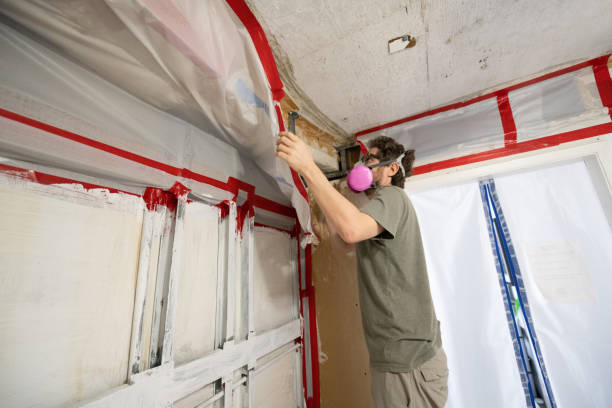 Mold Odor Removal Services in San Luis Obispo, CA