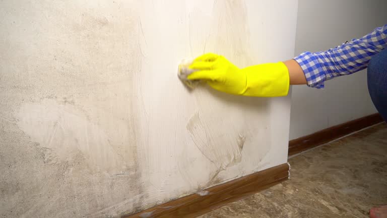 Best Mold-Related Health Consultation  in San Luis Obispo, CA